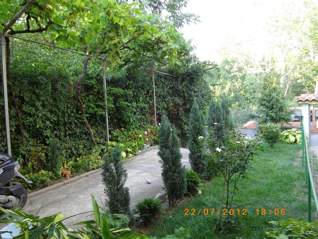 Sakutski House Hisarya Ngoại thất bức ảnh
